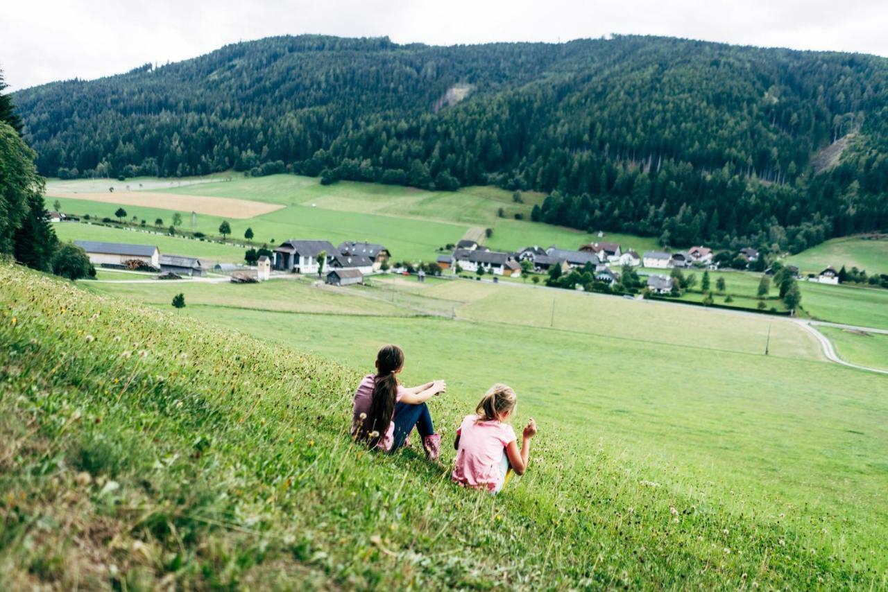 Gut Neusess Villa Mauterndorf  Exterior photo